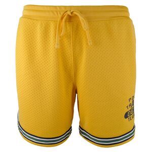 Men's VTG Polo Track 067 Team Training Mesh Shorts G X-Large